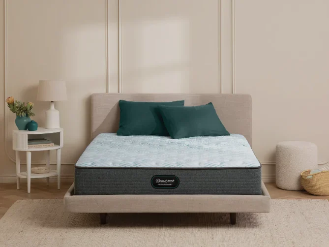 Beautyrest PressureSmart 2.0 Plush Pillow Top 13.75in at Compare Deals