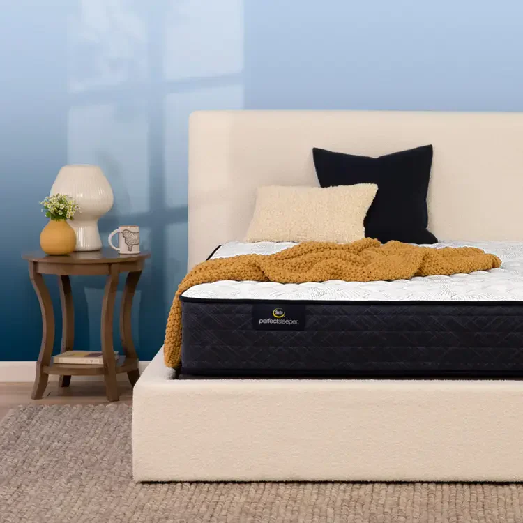Serta Perfect Sleeper Standard Firm at Compare Deals