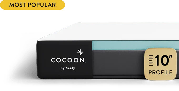 Cocoon by Sealy Chill Memory Foam photo 3