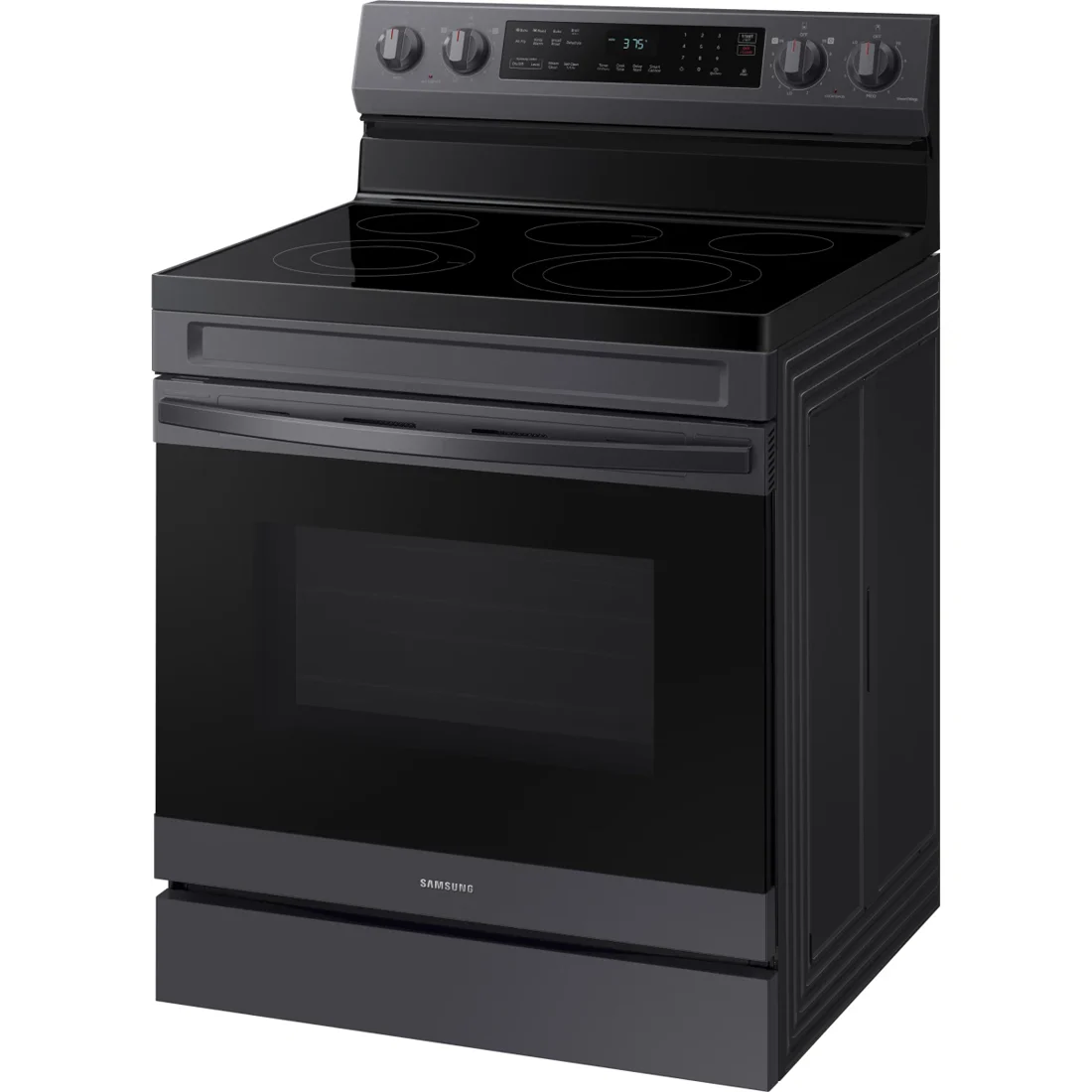 Samsung NE63A6511SG Freestanding Electric Range features