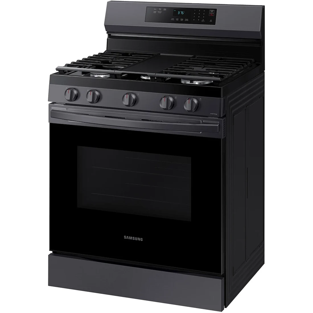 Samsung NX60A6311SG Freestanding Gas Range features