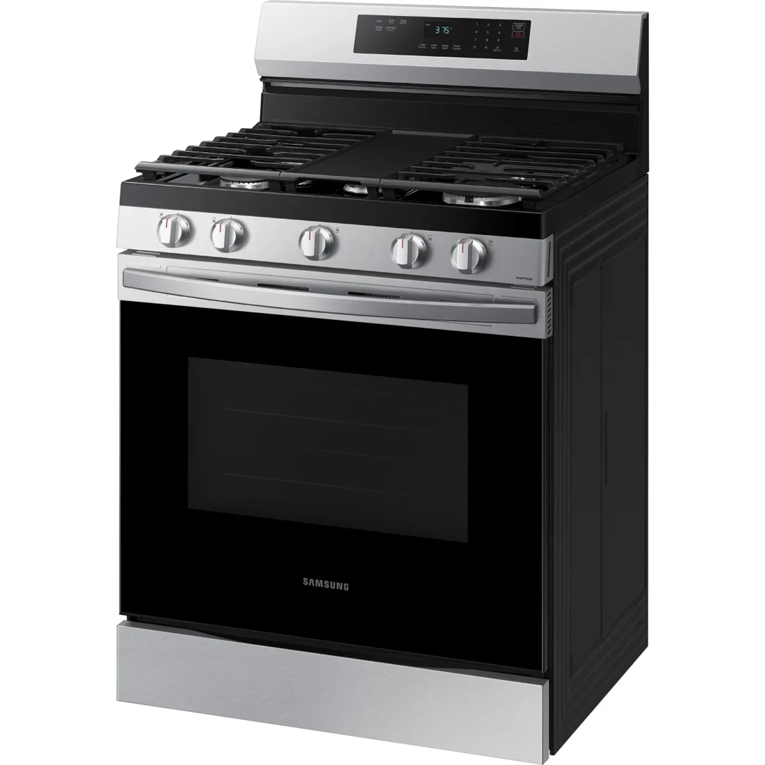 Samsung NX60A6311SS Freestanding Gas Range features
